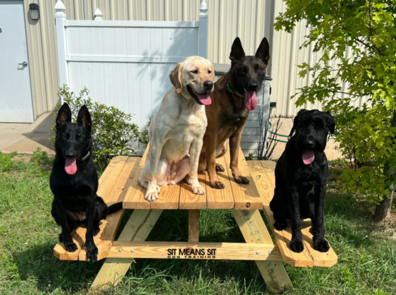 Group Class