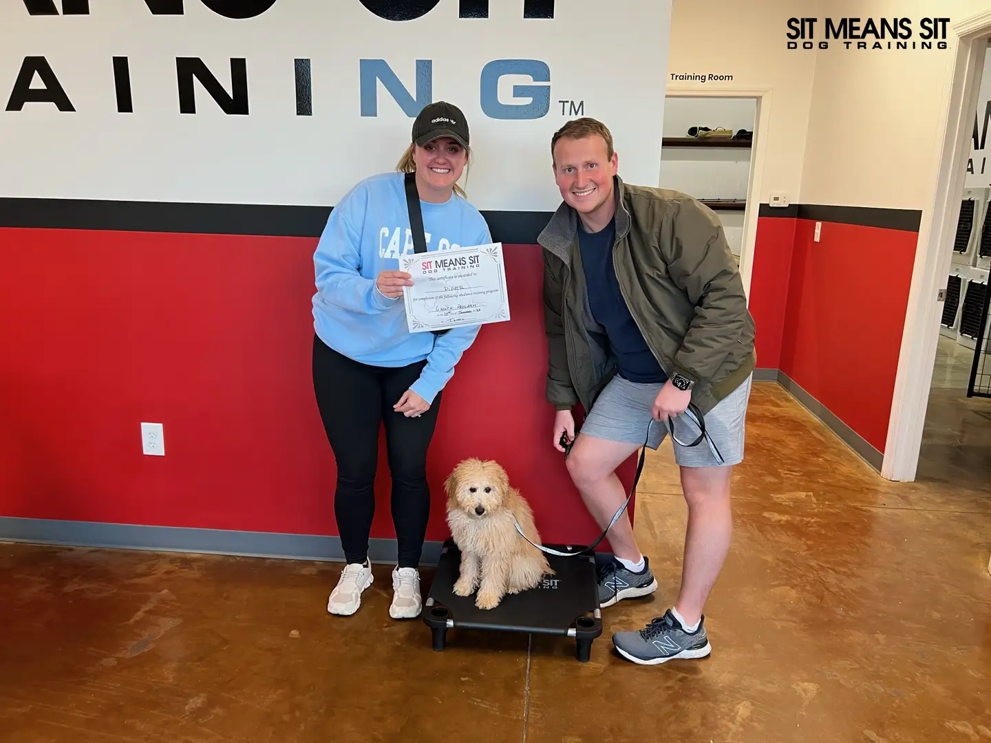 boot camp for aggressive dogs