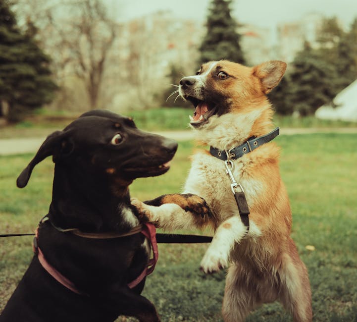 dog parks in murfreesboro tn