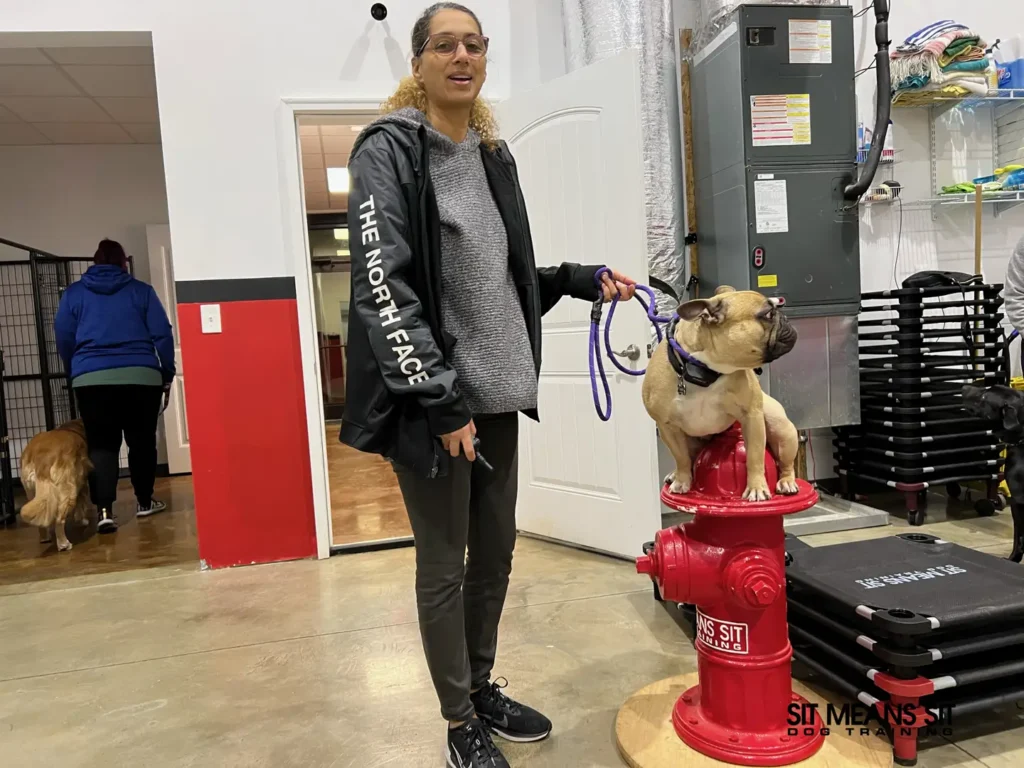 fun dog training classes