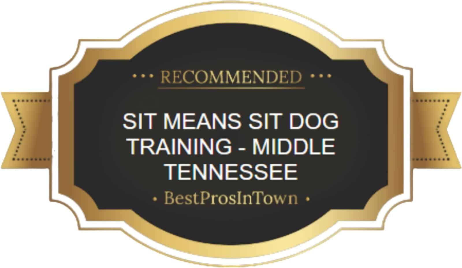 Best Pros in Town - Recommended